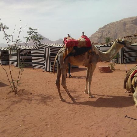 Rum Oasis Camp Wadi Rum Bagian luar foto