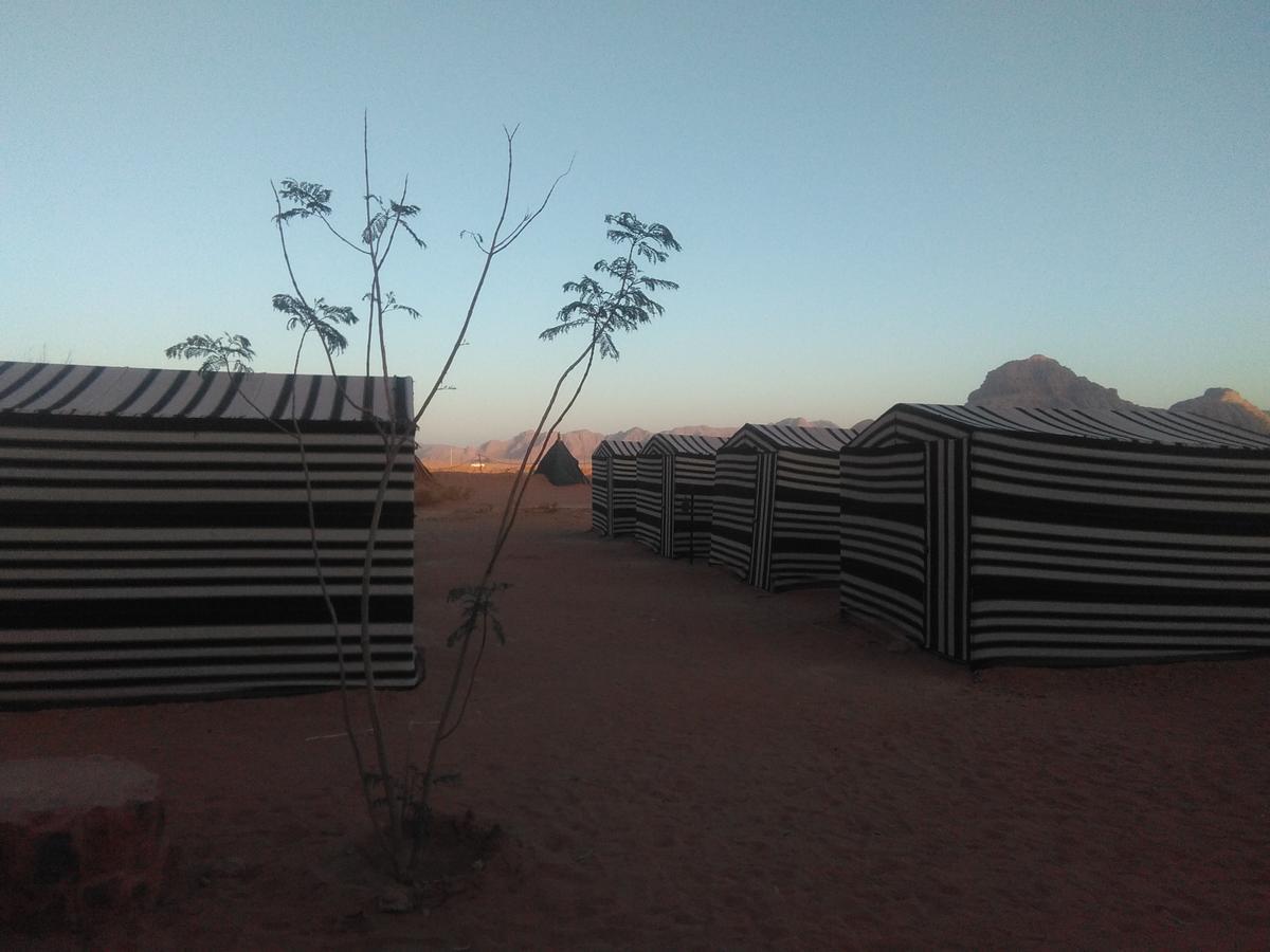 Rum Oasis Camp Wadi Rum Bagian luar foto