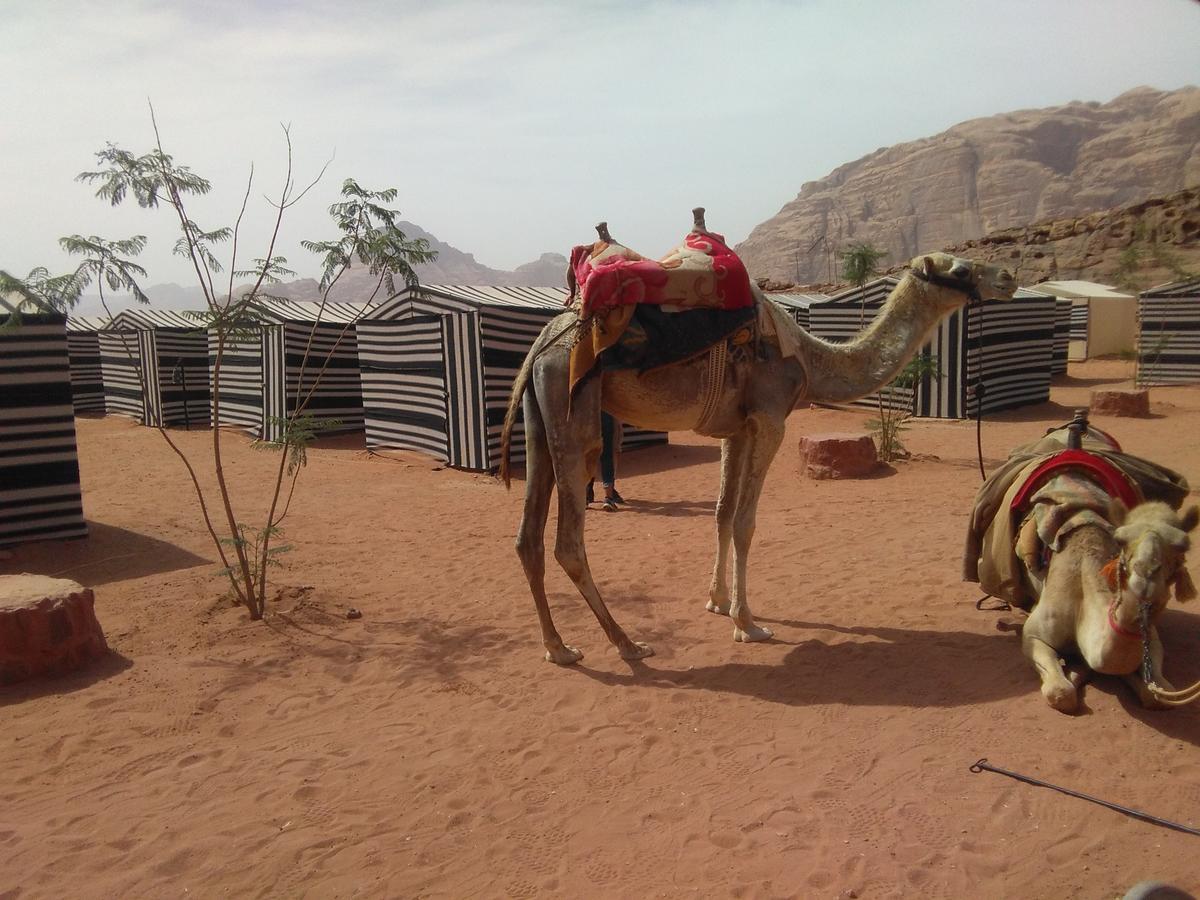 Rum Oasis Camp Wadi Rum Bagian luar foto