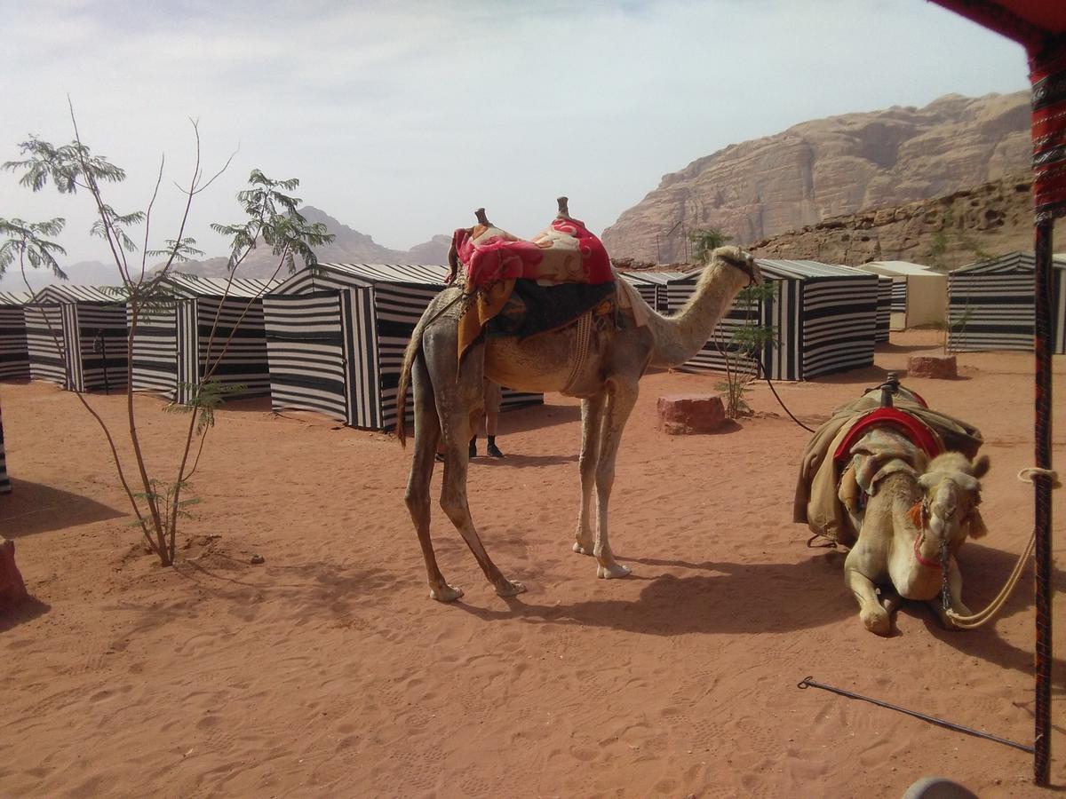 Rum Oasis Camp Wadi Rum Bagian luar foto